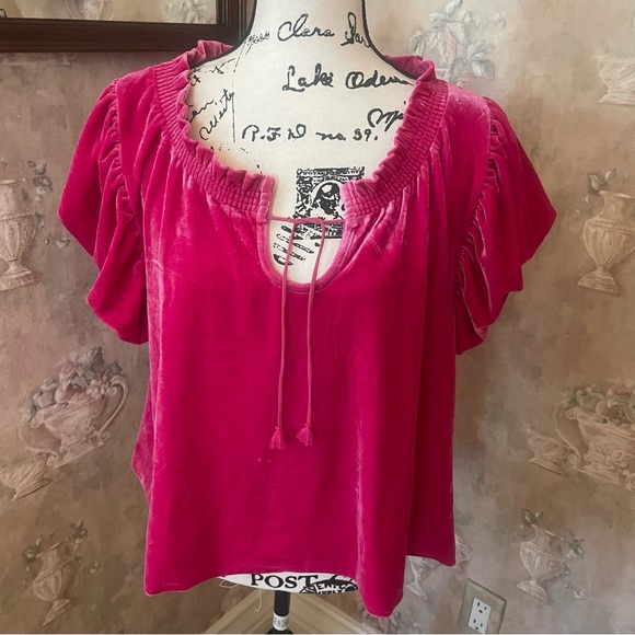 FREE PEOPLE TERESE PINK VELVET TOP LARGE - Picture 4 of 6